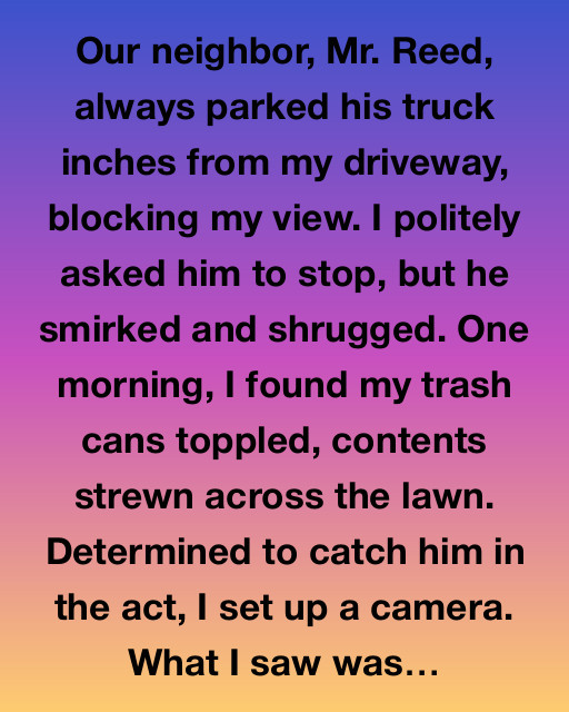 The Mystery Of The Toppled Trash Cans