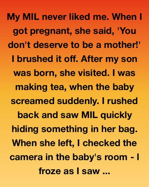 My Mother-In-Law Tried To Frame Me… But Karma Had Other Plans