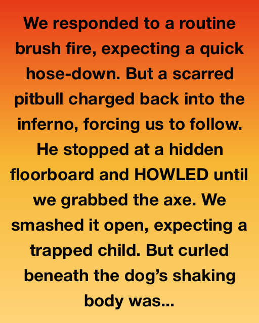 ABUSED PITBULL LEADS FIREFIGHTERS TO BURNING HOUSEโWHAT THEY FOUND PROTECTED INSIDE IS UNBELIEVABLE