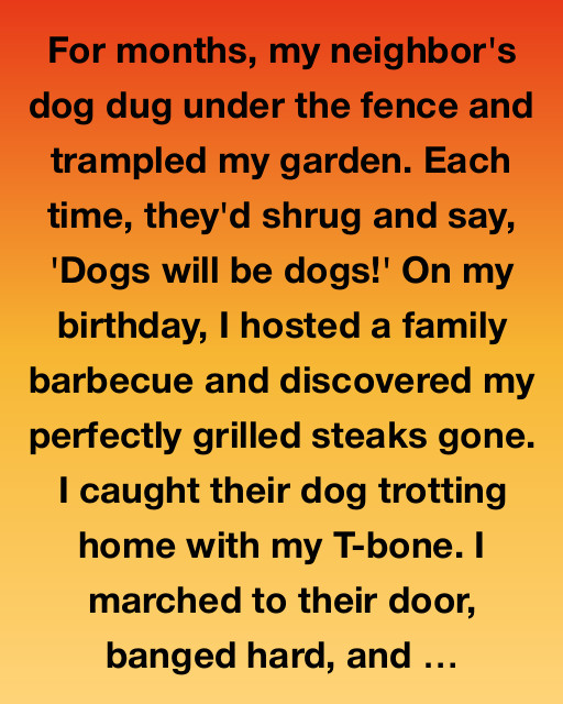 The Barking Bonds We Build