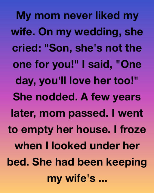 She Was Right All Along