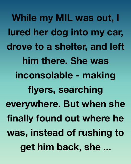 The Dog I Left At The Shelter