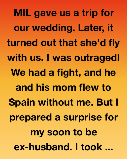 My Mother-In-Law Ruined Our Honeymoonโฆ So I Gave Them a Gift Theyโll Never Forget