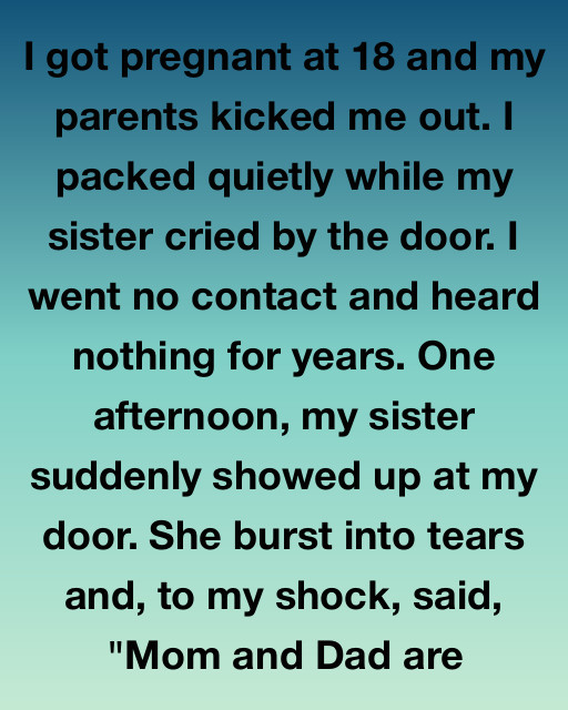I Went No Contact After My Parents Kicked Me Out, But The Secret My Sister Finally Brought To My Door Changed Everything I Believed About My Past