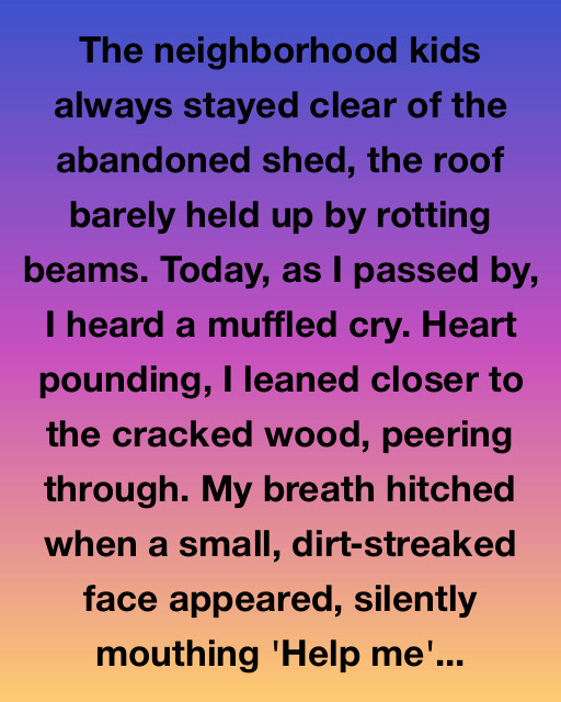 The Mystery Behind The Abandoned Shed