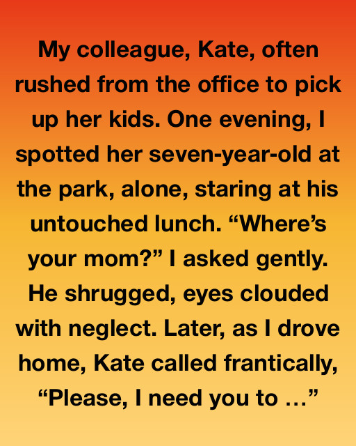 A Journey of Rediscovery