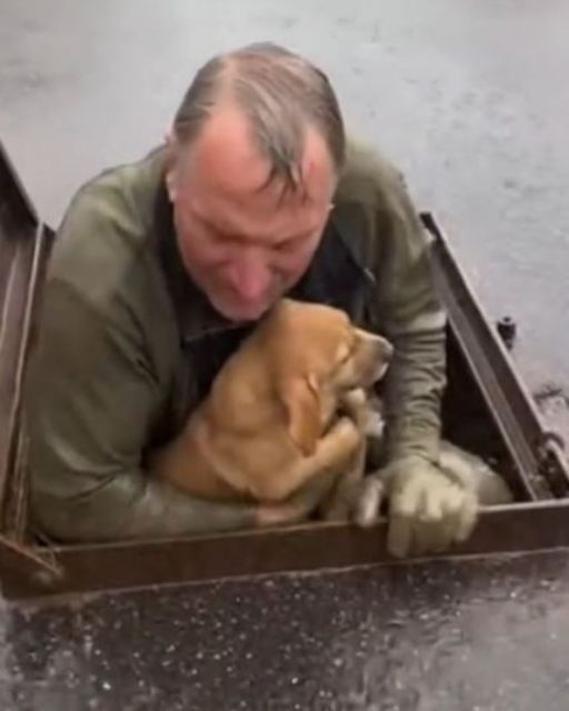 The Sound Of Being Alone