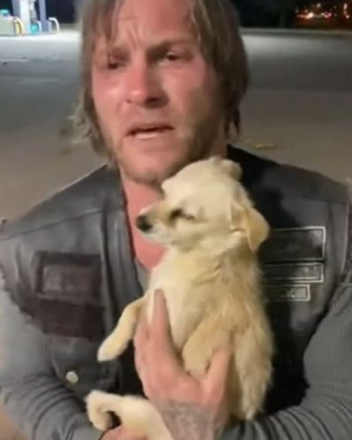 The Dogs Who Saved Us