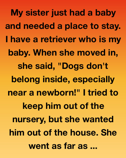 My Dog Saved My Sister’s Baby: A Story About Family, Trust, And Unseen Heroes