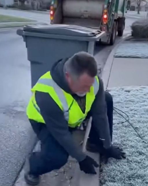 The Dog And The Six Lines