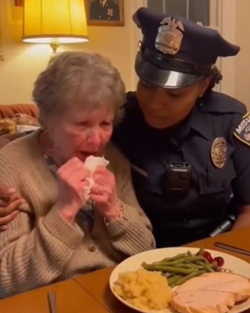 She Wasn’t Meant To Eat Thanksgiving Alone… But Someone Showed Up.