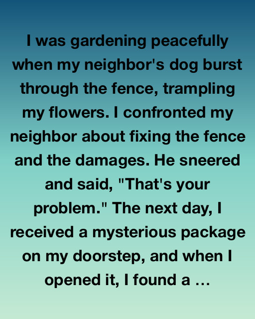 The Enchanted Package