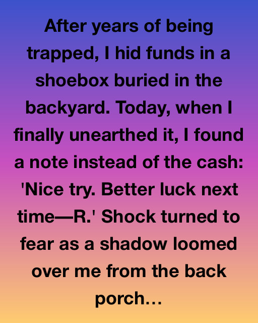 Secrets of the Hidden Shoebox