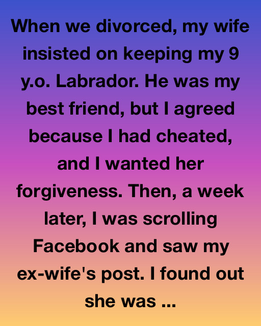 She Took My Dog — But Life Gave Me Something Greater