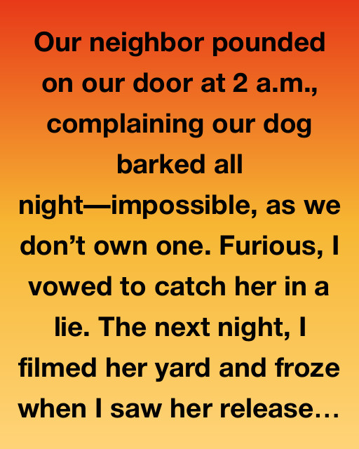 The Mystery of The Barking Dog