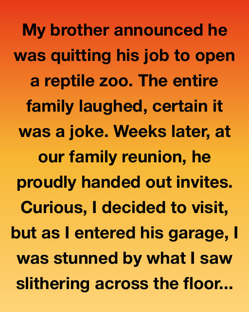 The Reptile Zoo Dream