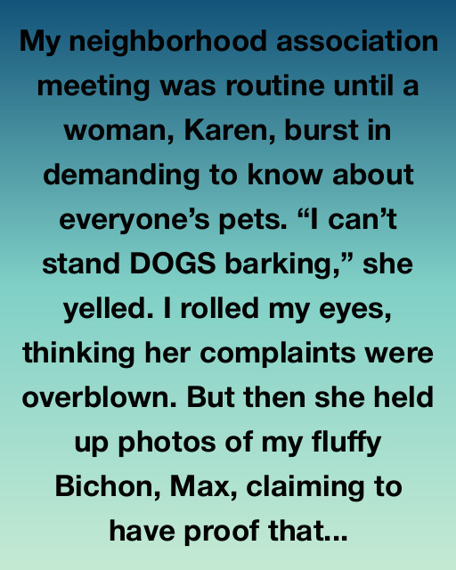 The Neighborhood Mystery