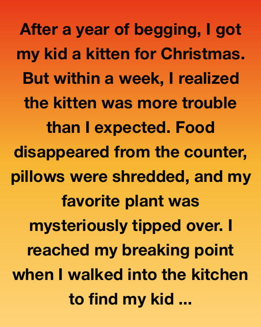 The Kitten That Changed Everything