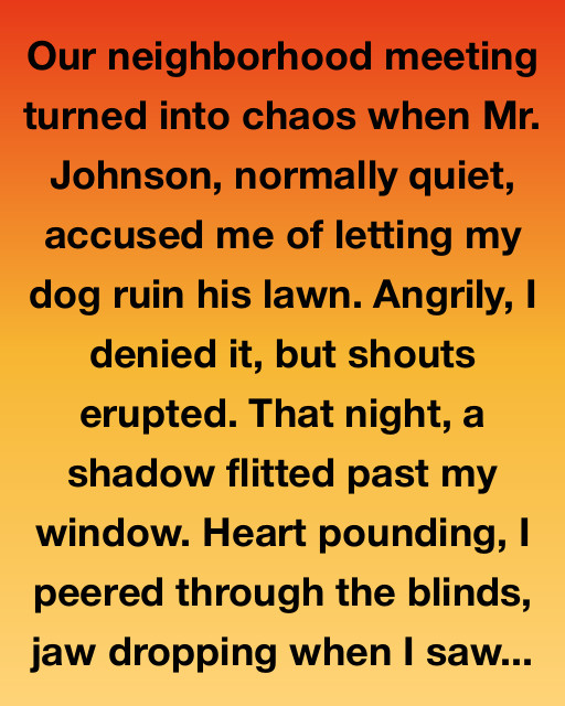 The Mysterious Night Visitor