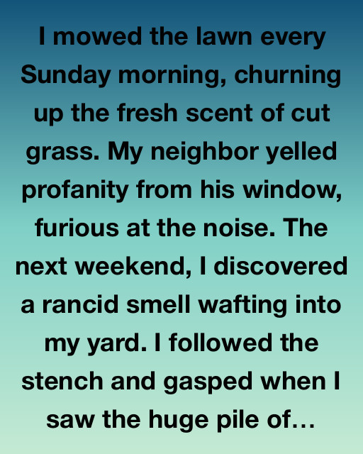 Lessons from a Troubled Neighbothood