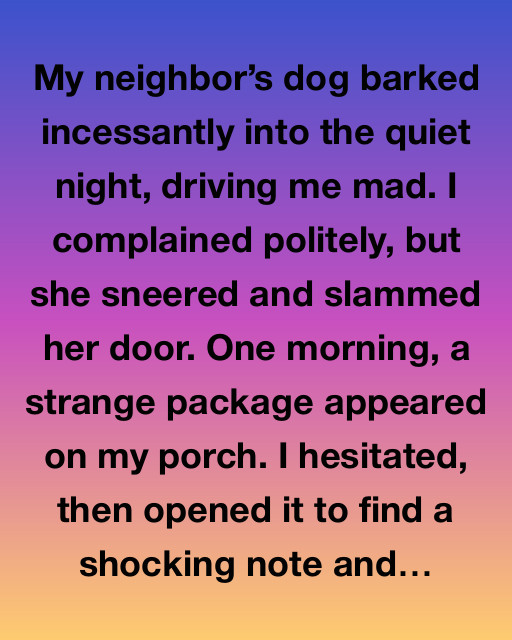 The Mysterious Package: An Unexpected Journey