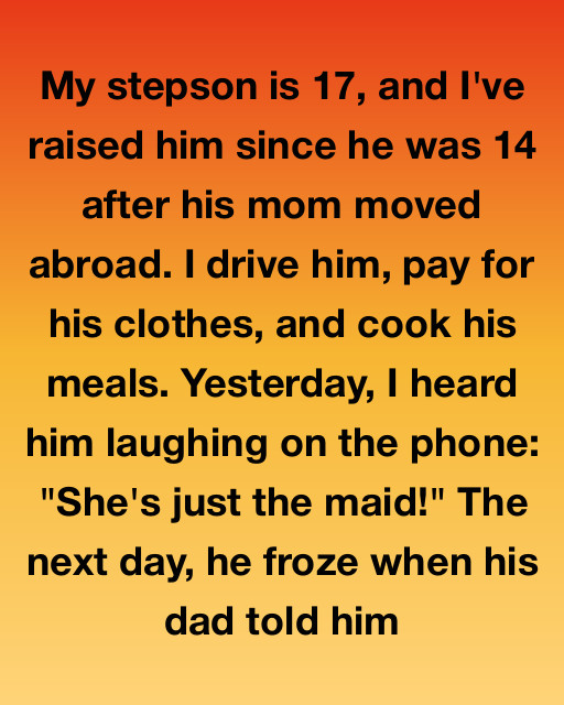 I Raised My Stepson As My Own Only To Hear Him Call Me The Maid, But The Truth Behind His Words Changed Everything