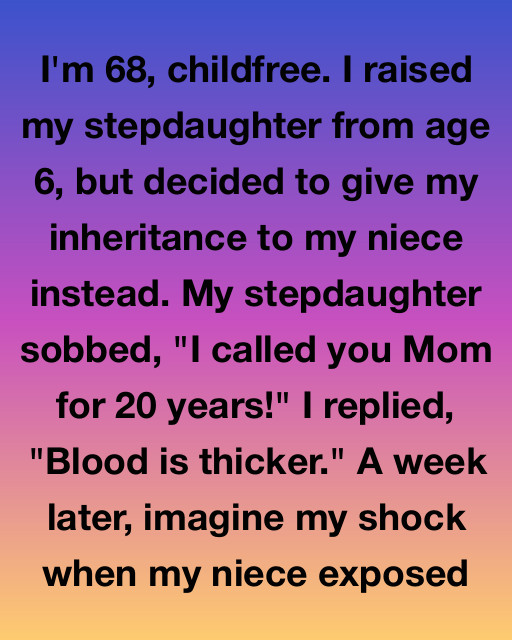 I Handed My Inheritance To My Niece Because I Believed Blood Was Everything — Now My Family Hates Me