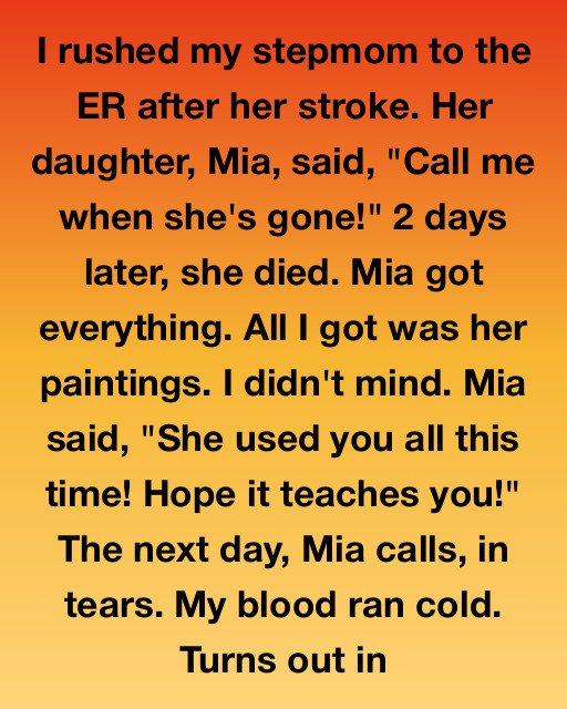 I Rushed My Stepmom To The ER And Took Care Of Her — But Her Biological Daughter Took Everything