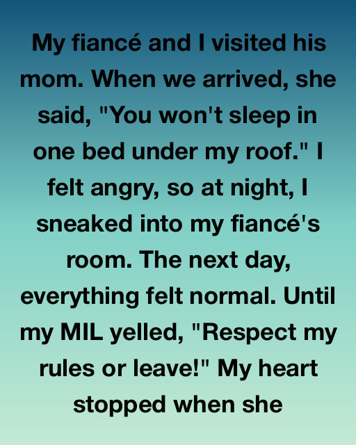 I Found Out My Future Mother-In-Law’s Strict Rules Weren’t About Morality, But About A Secret That Changed Everything I Knew About My Fiancé