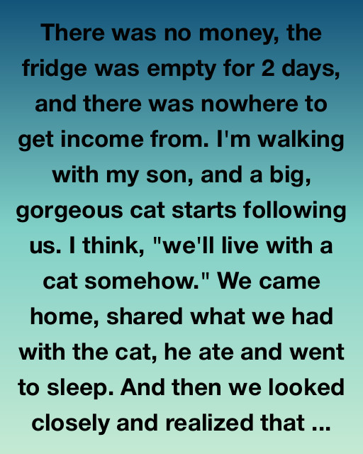 The Cat That Brought Us Back