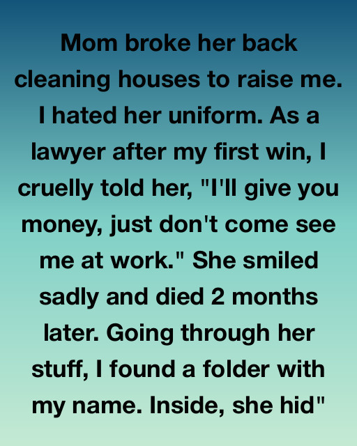 I Thought My Professional Success Defined Me, But My Mother’s Secret Folder Taught Me The True Meaning Of Wealth