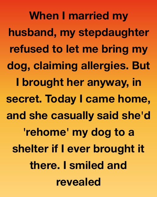 My Stepdaughter Said She Was Deadly Allergic To Dogs. I Let Her Scream At Me For An Hour. Then I Whistled.
