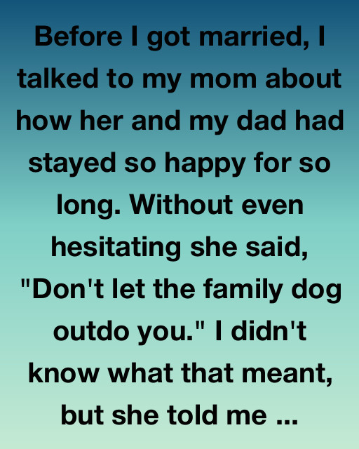 Don’t Let The Family Dog Outdo You