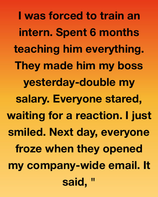 I Was Forced To Train An Intern, Only For Him To Become My Boss, But My Quiet Reaction Taught The Whole Company A Lesson They Will Never Forget