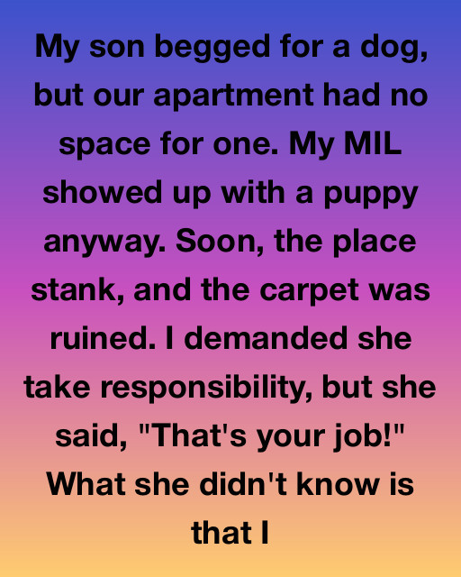 I Couldn’t Keep A Puppy In My Tiny Apartment, But My Mother-In-Law’s Forced Gift Ended Up Revealing A Secret That Changed Our Lives Forever