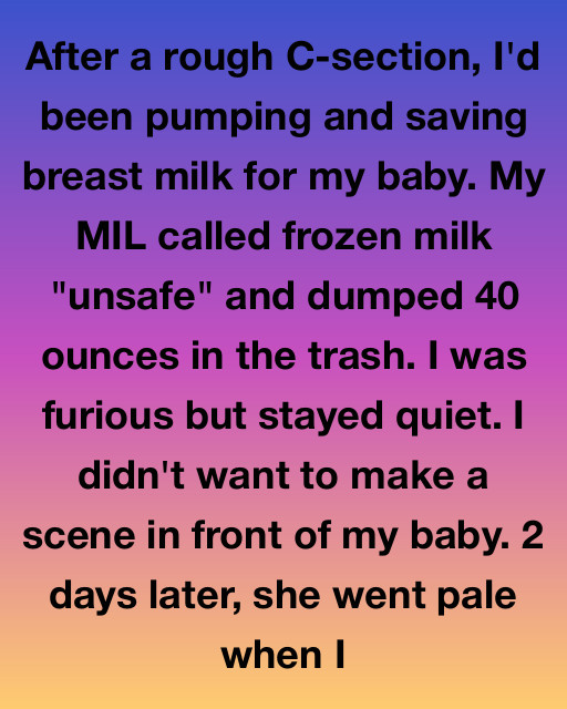 I Saw My MIL Dump My Hard-Earned Breast Milk — I Taught Her A Lesson She Will Never Forget