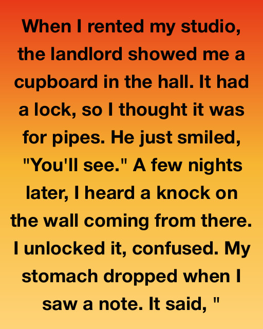 I Thought My Studio Was Just A Bargain, But The Locked Cupboard In The Hallway Held A Secret That Changed My Life Forever