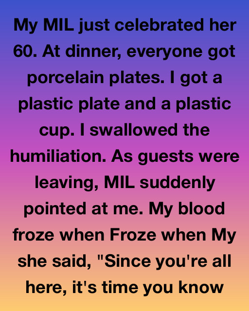 I Swallowed The Humiliation Of A Plastic Plate, But The Truth My Mother-In-Law Revealed At The End Of Her Birthday Dinner Changed My Life Forever