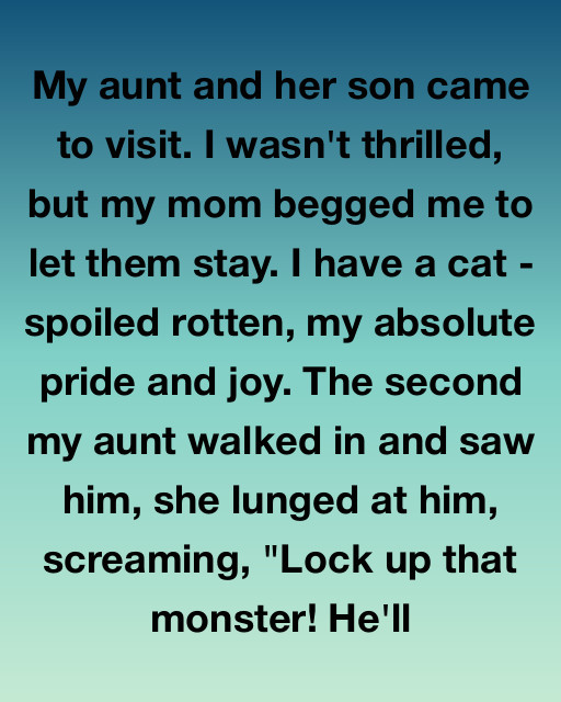 I Saw Why My Aunt Really Hated My Cat And Realized Some Secrets Are Better Shared Than Hidden