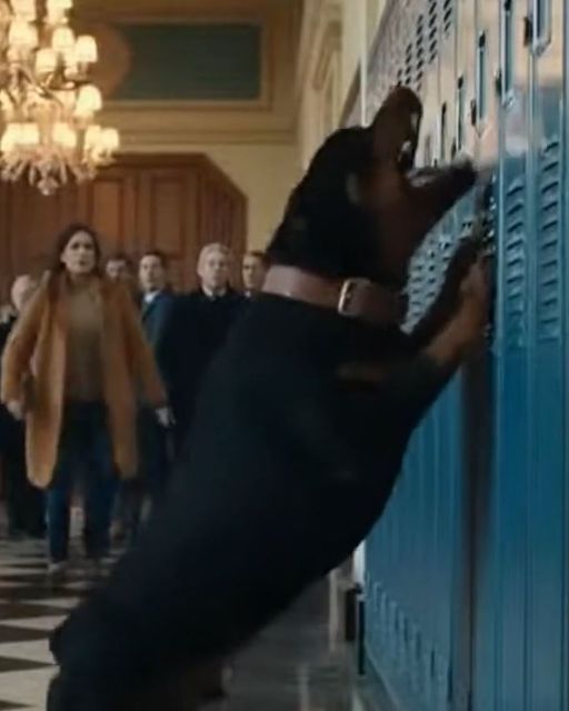 Principal Laughs As My 5-year-old Suffocates In A Locker — Then His Dog Arrives, And The ‘game’ Is Over