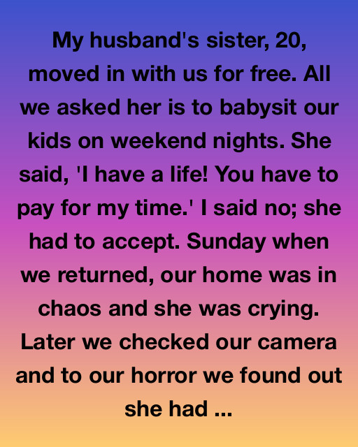My Husband’s Sister Refused To Babysit For Free—What We Found On The Camera Changed Everything