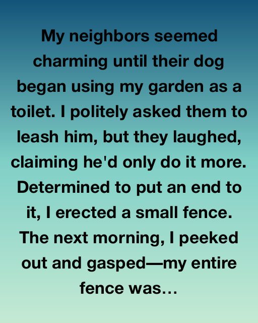 The Neighbor’s Dog and the Mystery of the Vanishing Fence