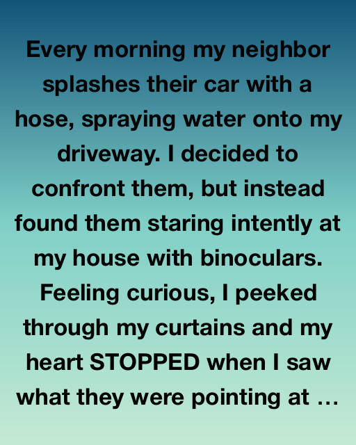 The Mysterious Neighbor Across the Way