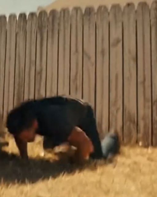 The ‘crazy Vet’ Next Door Jumped My Fence To Save My Brother From The Heat. Then He Ripped The Boy’s Shirt.