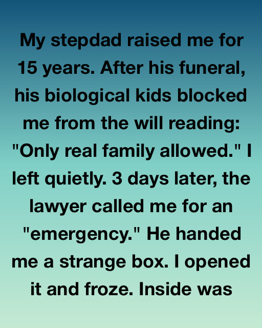 They Kicked Me Out Of The Will For Not Being “blood.” The Lawyer Just Handed Me Their Dna Tests.