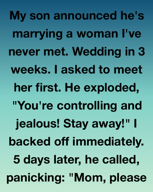My Son Is Marrying A Stranger And Told Me To Stay Away, But The Truth Behind His Panic Taught Me Everything About Family