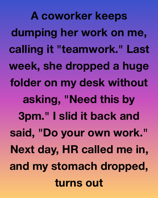 I Refused To Do My Coworker’s Work And Expected To Get Fired, But The Meeting In HR Revealed A Secret That Flipped Everything I Knew About Our Office