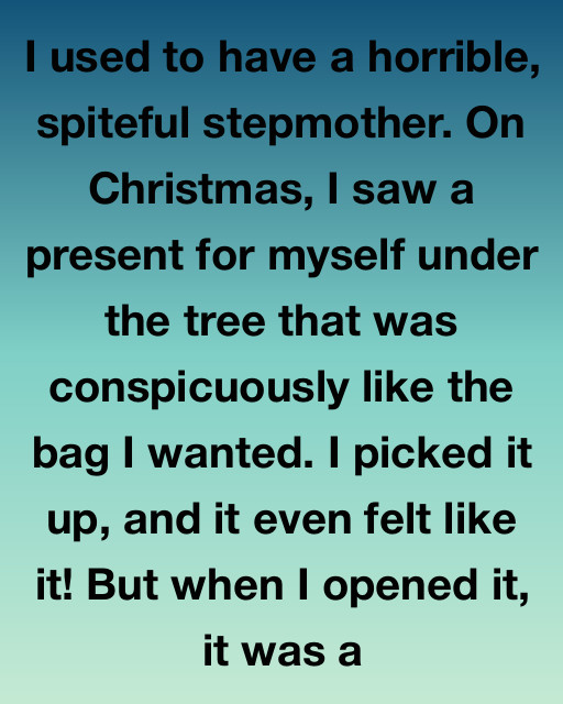 A Horrible Spiteful Stepmother And A Christmas Gift That Changed My Life