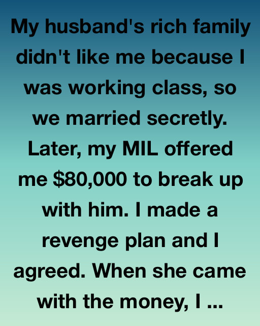 My Mother-In-Law Offered Me $80,000 To Leave Her Son—So I Took It… And Taught Her A Lesson She’ll Never Forget