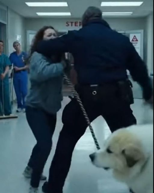 The Dog Laid On My Dying Son’s Chest To Comfort Him. Then The Doctor Smelled His Breath.